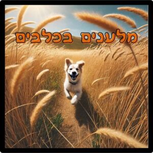 זיהוי וטיפול במלענים אצל כלבים